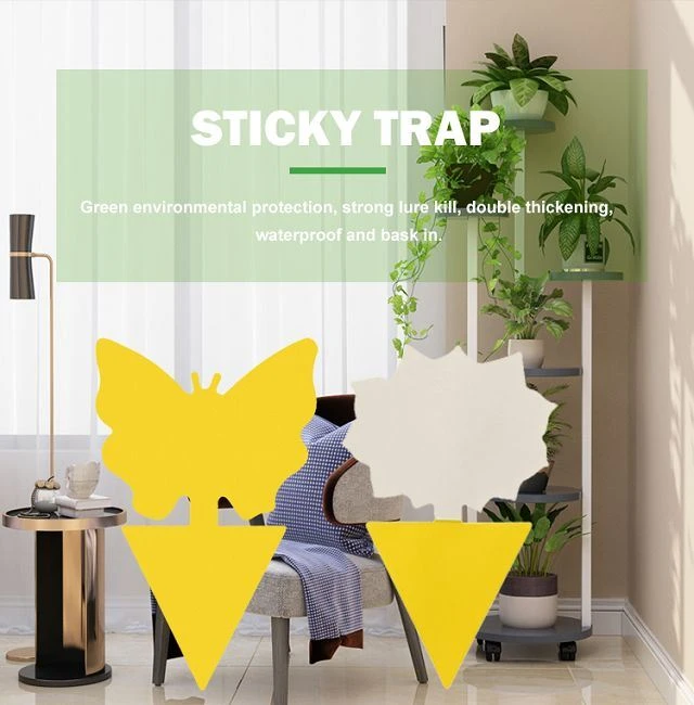 stikcy trap(001)