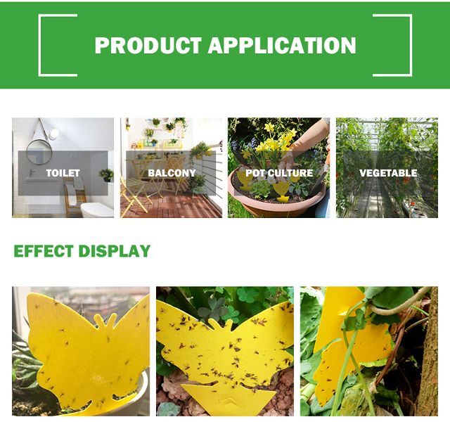 application(001)