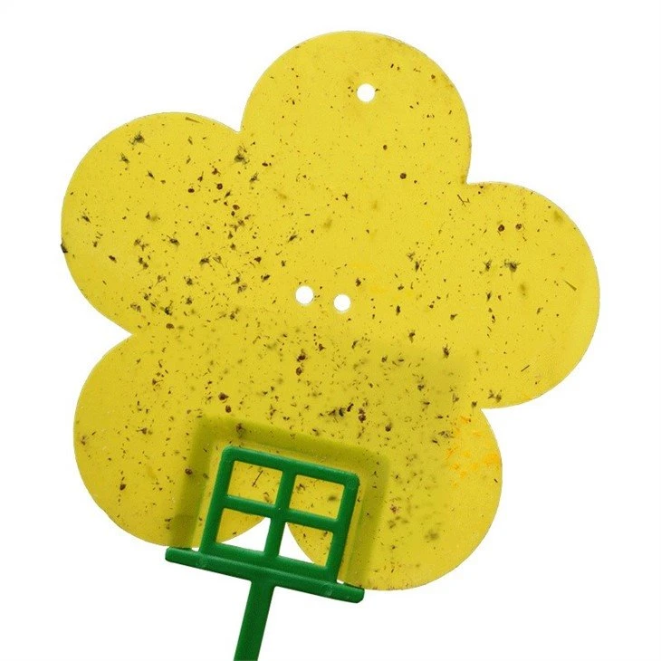 flying insect trap flower